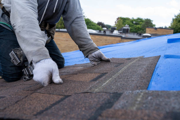 Best Commercial Roofing Services  in Ferdand, IN