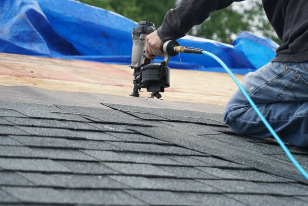 Roof Gutter Cleaning in Ferdinand, IN