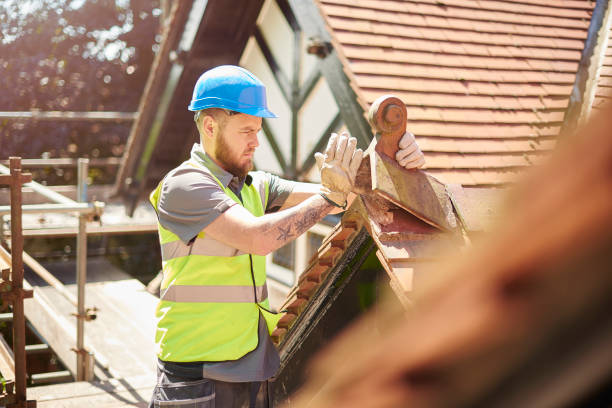 Best Roof Gutter Cleaning  in Ferdand, IN